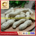 Washed Peanut Kernels 11/13 with High Export Quality